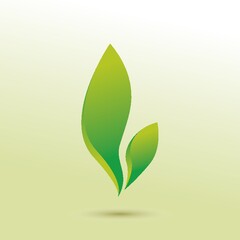 Leaf icon