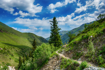 Idyllic summer landscape with hiking trail in the mountains with beautiful fresh green mountain pastures, blue sky, river and brigde.