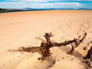 Obraz premium Dune of Valdevaqueros, Tarifa, Andalusia, Spain