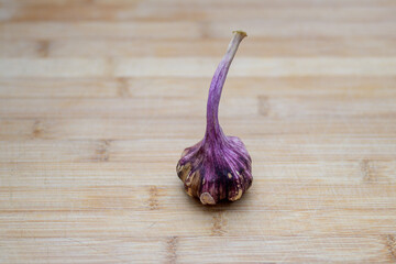 Bulb of fresh pungent purple garlic