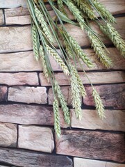 Stalks and ears of wheat against a brick wall