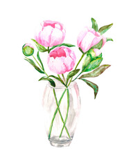 Watercolor illustration.