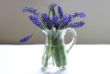 Blue flowers in a glass vase
