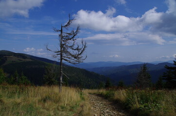 Beskid Żywiecki