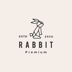 geometric rabbit hare bunny hipster vintage logo vector icon illustration
