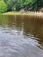 People feed ducks on the river