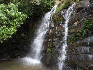 Fototapeta premium small waterfall, Nilgiris