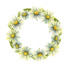 Flower wreath of field daisies. Round frame with white daisies. Template for the design. Stock image. Intertwined flowers, leaves and buds.