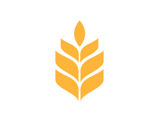 Wheat logo vector.  Wheat vector illustration. 