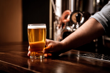 Bartender holding light beer on wooden bar counter