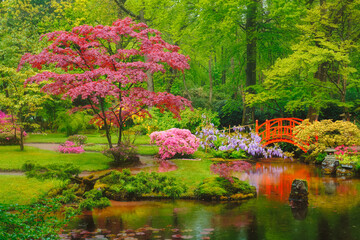 Small bridge in Japanese garden, Park Clingendael, The Hague, Netherlands - obrazy, fototapety, plakaty