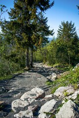 road downhill, stony road from Ještěd