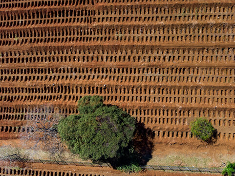 Coronavirus Outbreak - Graves Dug