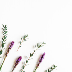 Flowers composition. Purple flowers, eucalyptus branches on white background. Flat lay, top view