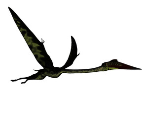 Quetzalcoatlus flying peacefully ahead isolated in white background