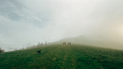 Naklejka na ściany i meble Man in the fog. Carpathians, Ukraine, Europe. Beauty world.