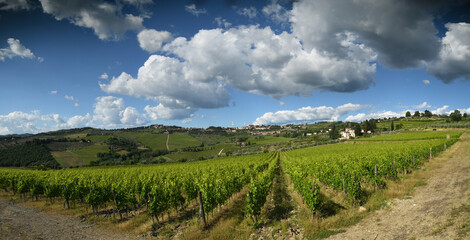 Fototapeta na wymiar Spectacular landscape with green grapevines and blue cloudy sky at Panzano in Chianti, area of great wine production of Chianti Classico wine. Tuscany. Italy