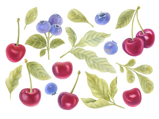 Watercolor set of cherries, blueberries and leaves on the light background. Bright watercolor illustration of berries.