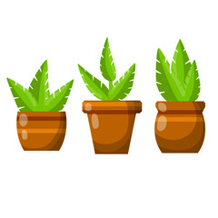 Pot of a house plant. Set of Brown flowerpot. Green leaves and gardening. Decoration for home. Cartoon flat illustration