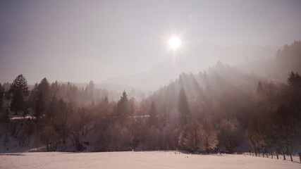 Bright sun over Piatra Craiului mountain with light rays filtred by trees in winter.