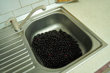 Washing black bitter cherries for preparation