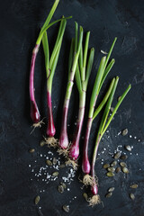 purple spring onions on dark table background