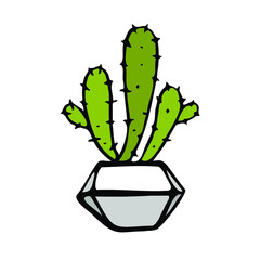 Hand drawn cactus in a faceted flower pot