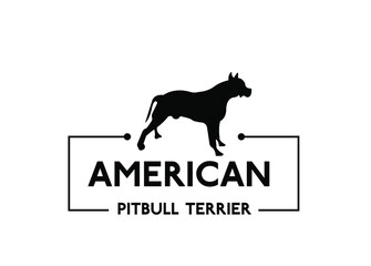 American Pitbull Terrier