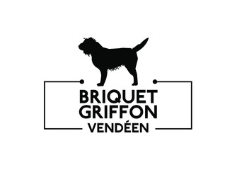 Briquet griffon vendeen - dog