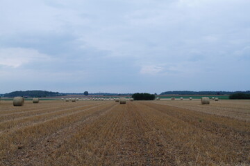 Fototapeta na wymiar Deep view over a harvested field
