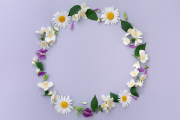 Flowers composition. Wreath made of various colorful flowers on pastel purple background. Easter, spring, summer concept. Flat lay, top view, copy space for text