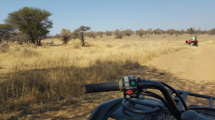 Quad biking in the African bush, watching endangered rhino lying down with baby rhino © Carol