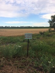 wooden signpost in the field
