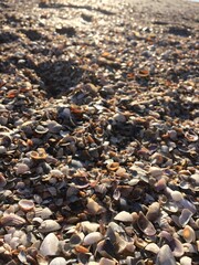 pebbles on the beach