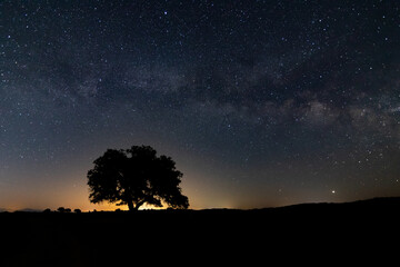 Fototapeta na wymiar Fantastic starry sky