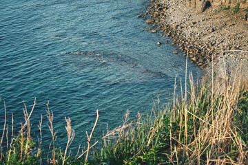 Aerial view sea and shore on island overgrown with grass landscape and travel destinations at summer season. Nature and landscape concept.
