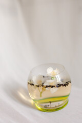 Glass of tea with herbals and flowers