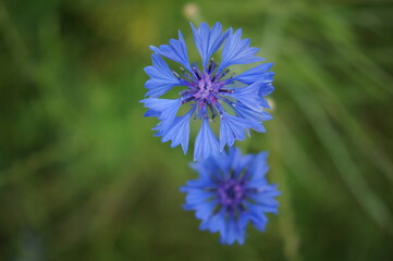 Das Silberbachtal nahe der Ortschaft Leopoldstal gilt als eine der schönsten Wanderregionen im Naturpark. In einem eindrucksvoll von der Natur gestalteten Kerbtal unterhalb des Velmerstot plätschert s