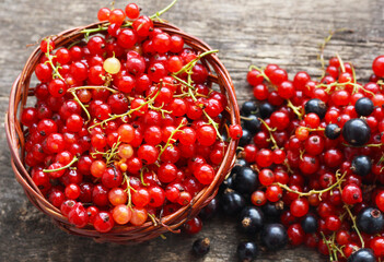 Scattered berries of ripe ripe currants next to a basket of berries.