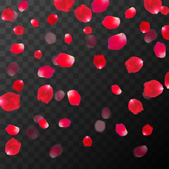 Abstract background with flying red rose petals on a black transparent background. Vector illustration. EPS 10