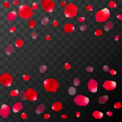 Naklejka na ściany i meble Abstract background with flying red rose petals on a black transparent background. Vector illustration. EPS 10