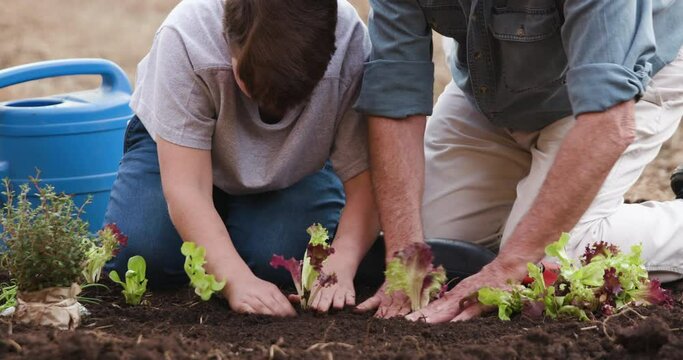 Close-up cropped view of a father and cute son planting seedlings