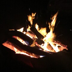 campfire at night