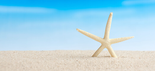 Fototapeta na wymiar Closeup starfish on white sand beach with blurred blue sea background