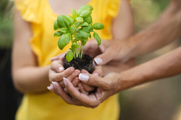 Hands of a Caucasian woman and her daughter holding a seedling in her cupped hands 