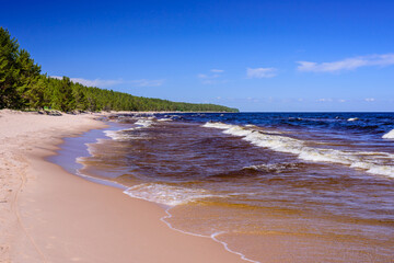 Ladoga lake. Picturesque sandy beach on lake Ladoga near Priozersk town, Leningrad region, Russia