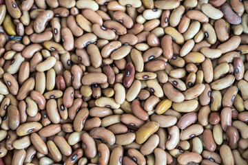 Close up of a bean seeds