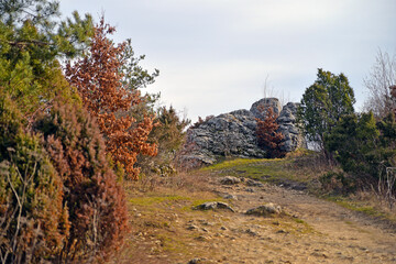 autumn landscape in the mountains
