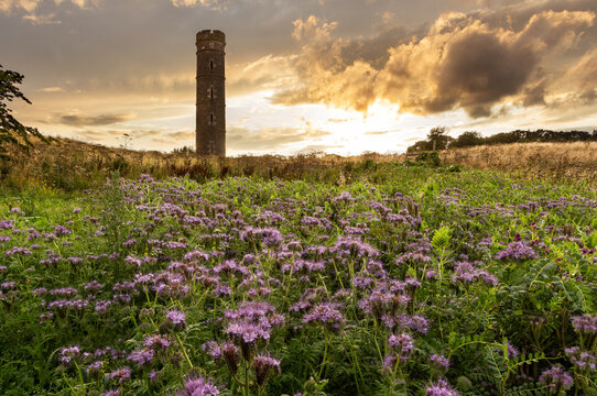 Water Tower at sunset.