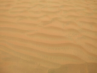sand dunes in the sahara